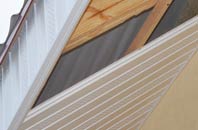 rated Boirseam soffit repair companies